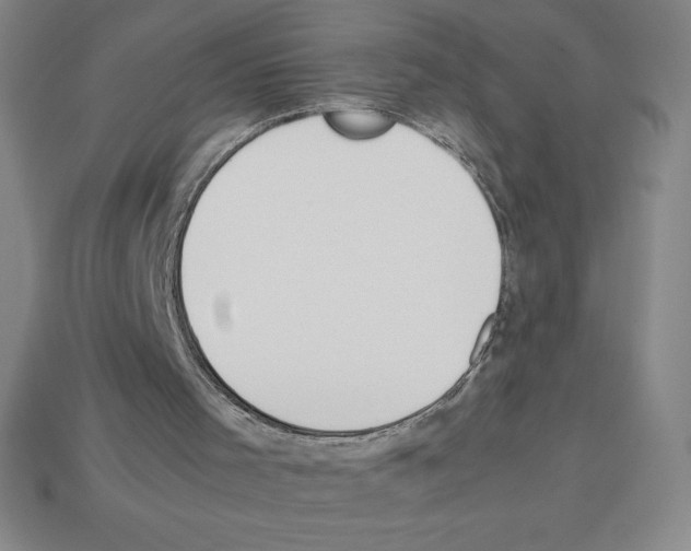 X0000112750001200910011205