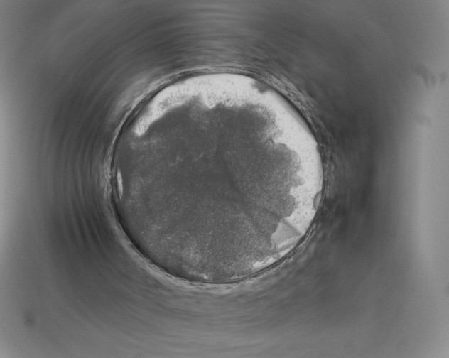 X0000112750002200910011205