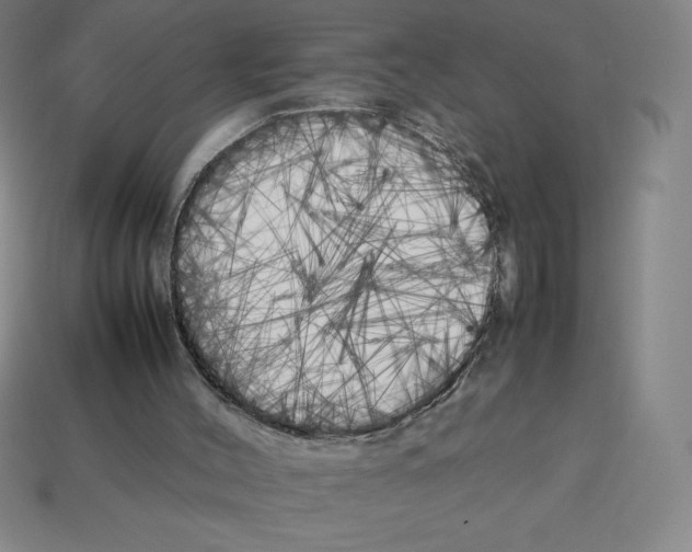 X0000112750004200910011204