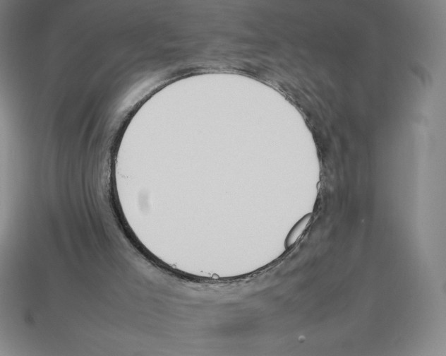 X0000112750005200910011204