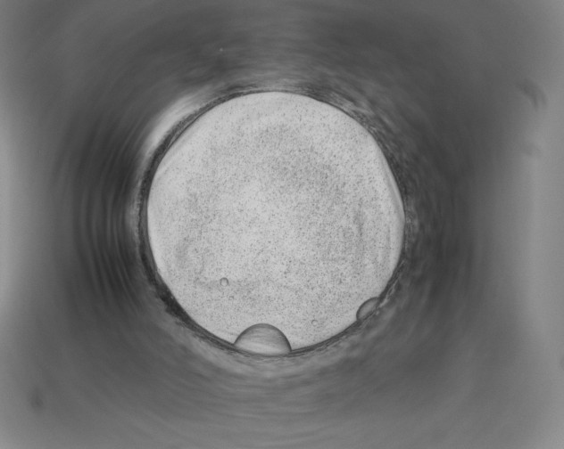 X0000112750006200910011204