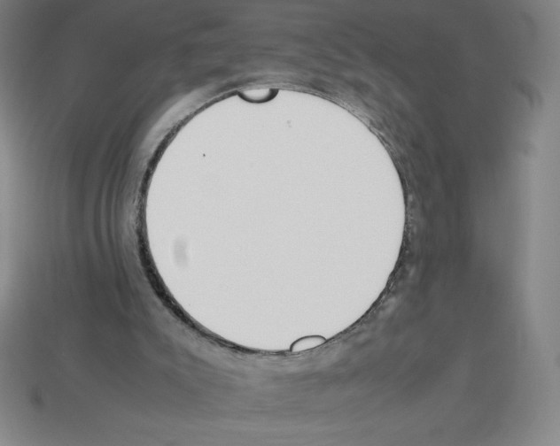 X0000112750007200910011204