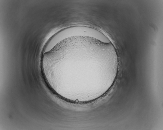 X0000112750008200910011204