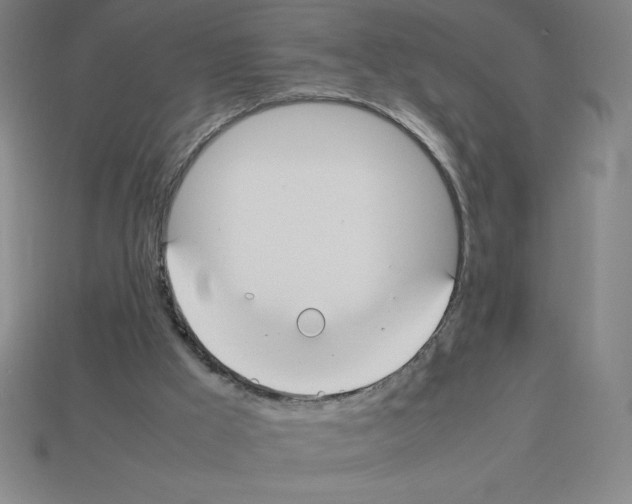 X0000112750009200910011204