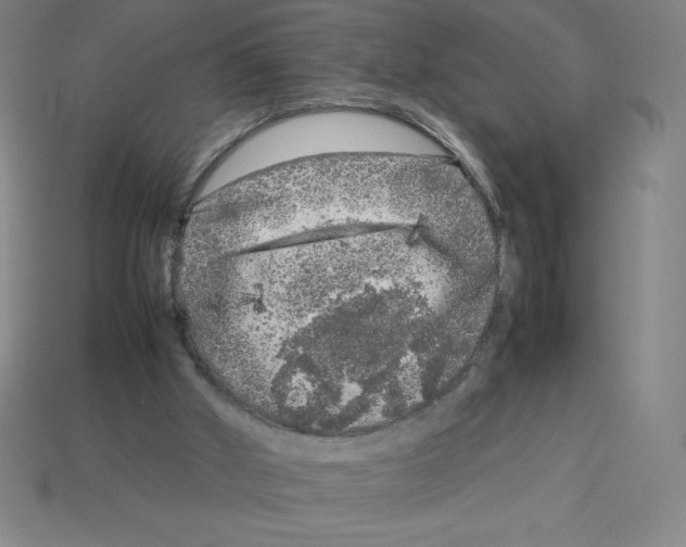 X0000112750010200910011204