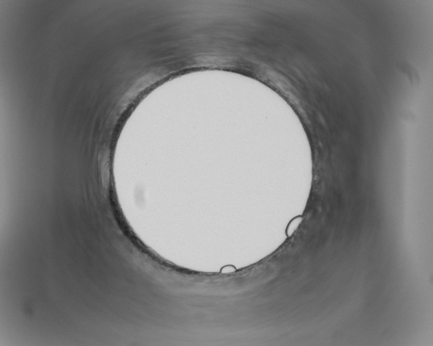 X0000112750011200910011204