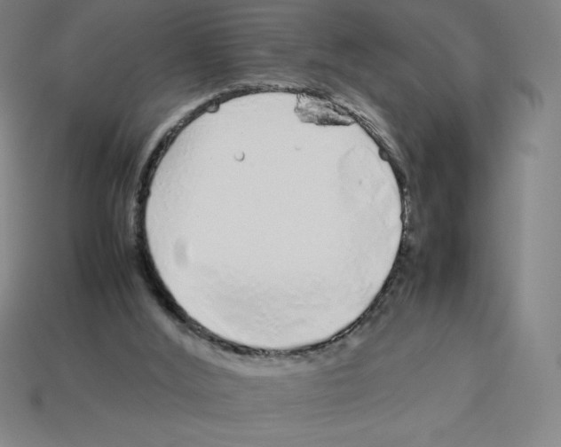 X0000112750012200910011204