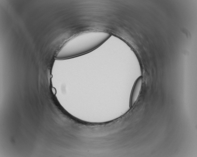 X0000112750013200910011204