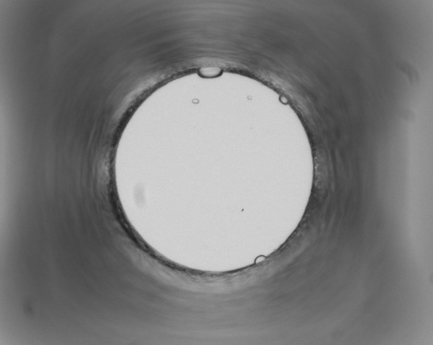 X0000112750015200910011204