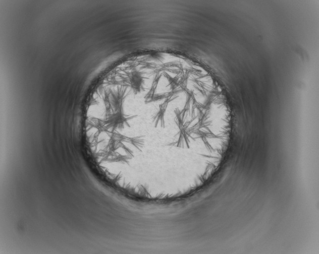 X0000112750016200910011204