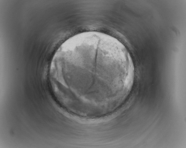 X0000112750018200910011204