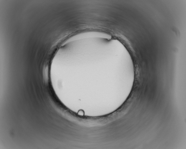 X0000112750020200910011204