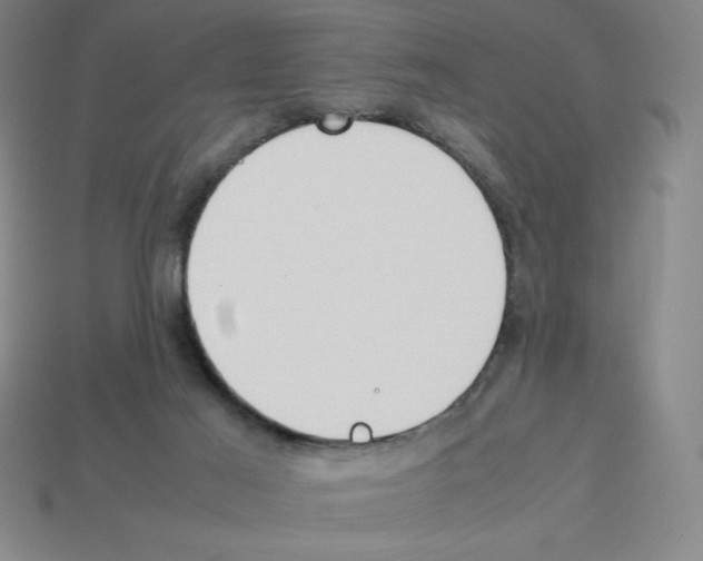 X0000112750021200910011204