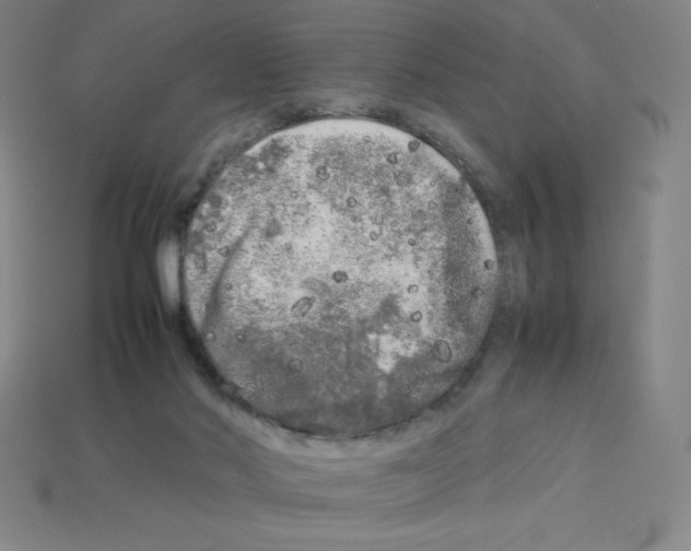 X0000112750022200910011204