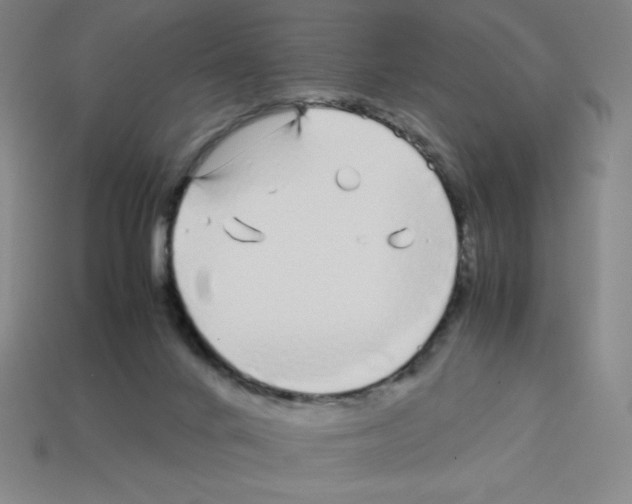 X0000112750024200910011204