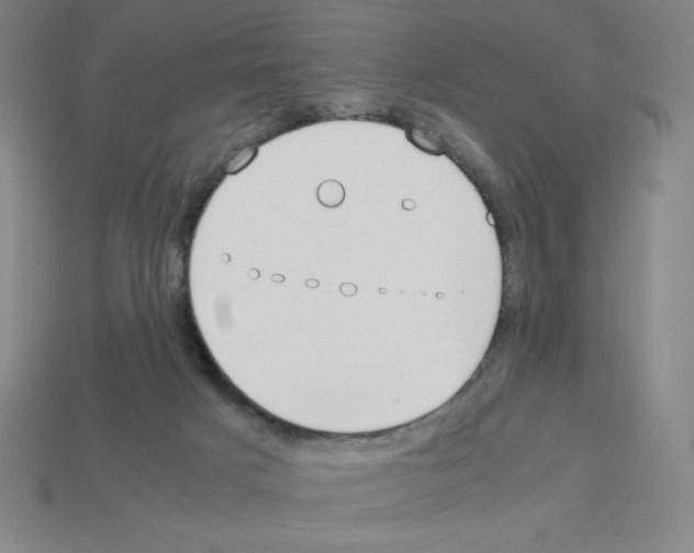 X0000112750025200910011204