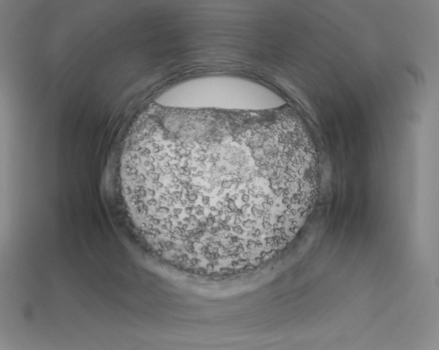 X0000112750026200910011204