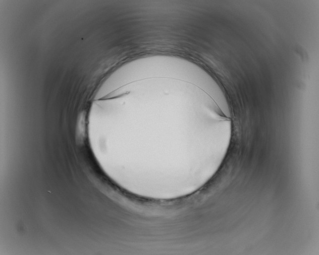 X0000112750028200910011204