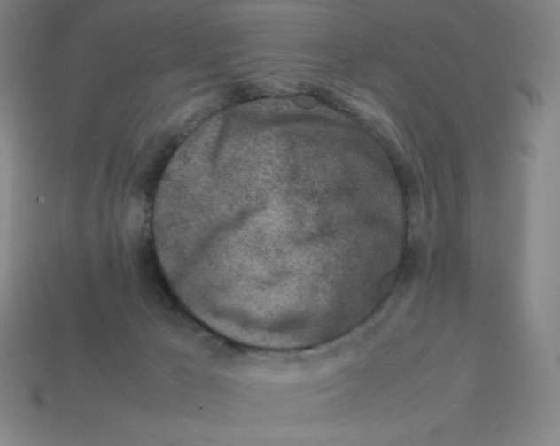 X0000112750029200910011204