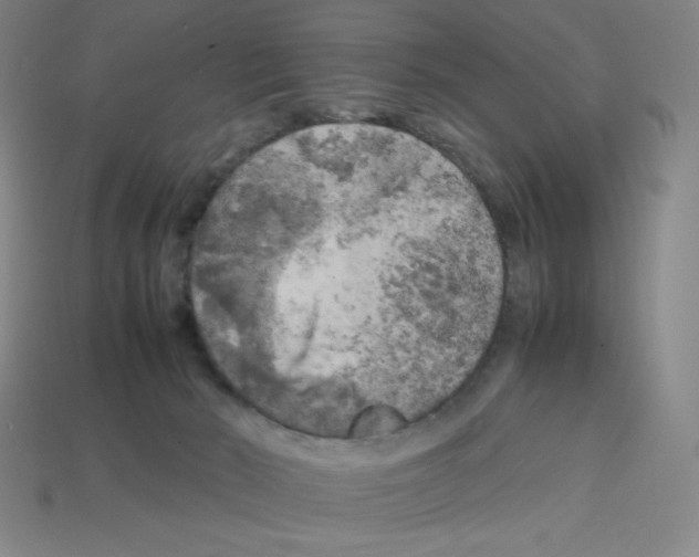 X0000112750030200910011204