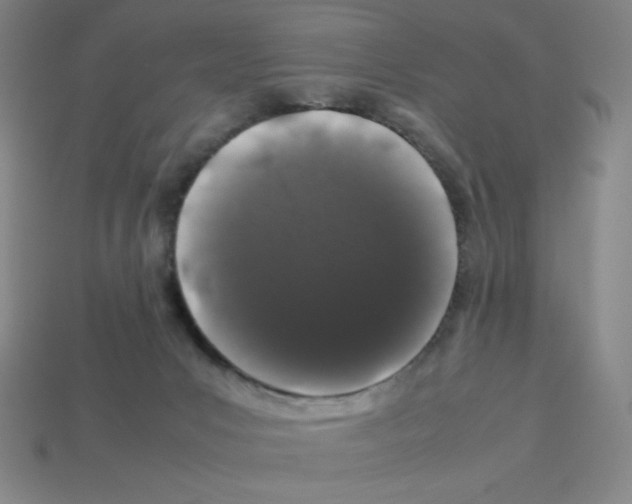 X0000112750031200910011204