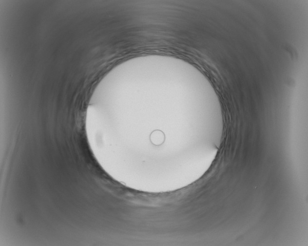 X0000112750033200910011204