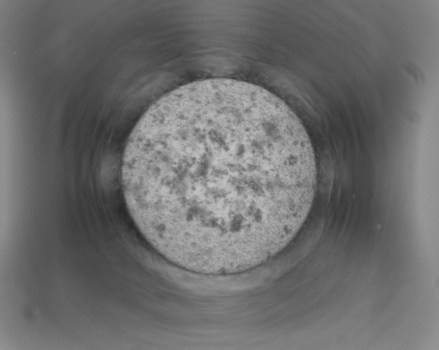 X0000112750034200910011204