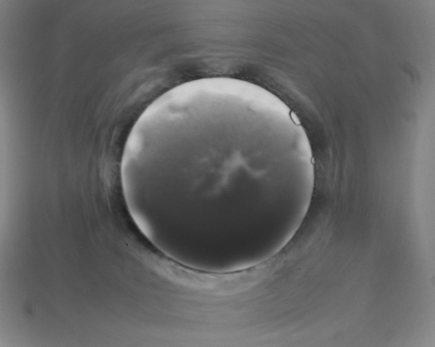 X0000112750035200910011204