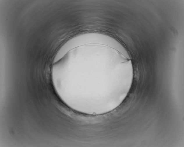 X0000112750036200910011204