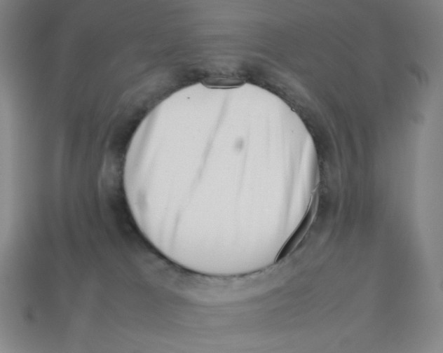 X0000112750037200910011204