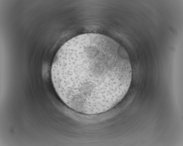 X0000112750038200910011204