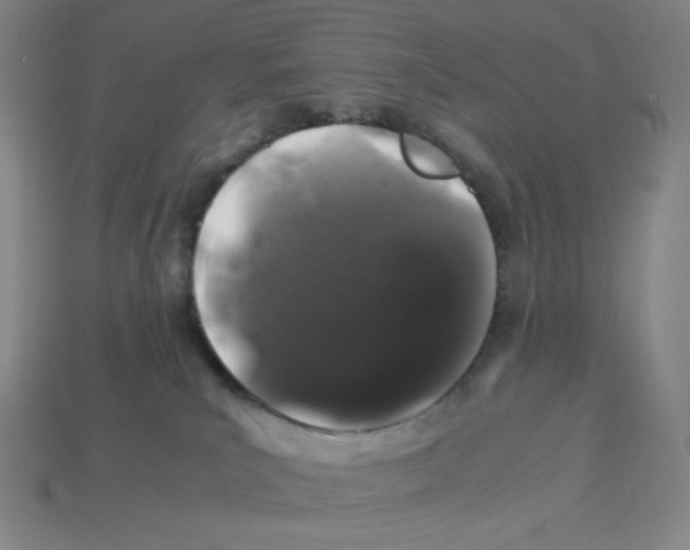 X0000112750039200910011204