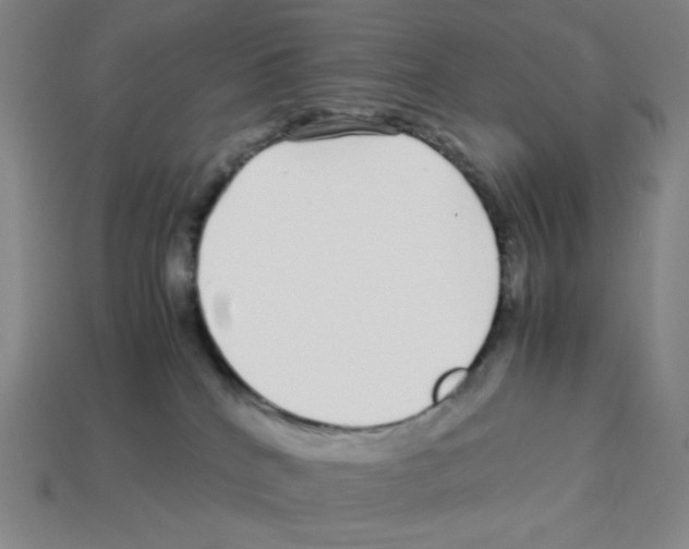 X0000112750040200910011204