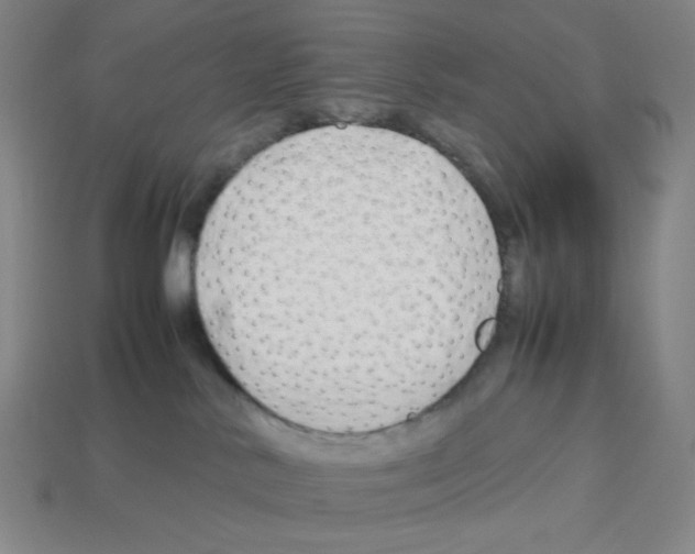 X0000112750042200910011204