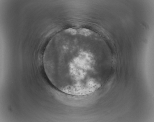 X0000112750043200910011204