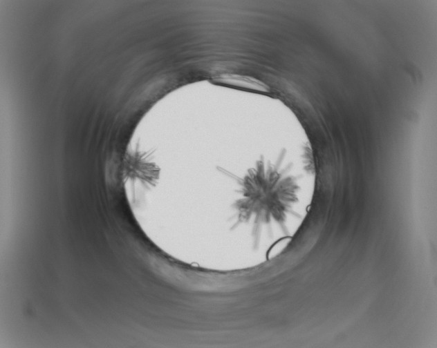 X0000112750044200910011204