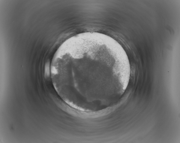 X0000112750046200910011204