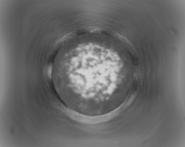 X0000112750047200910011204