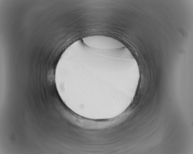 X0000112750048200910011204