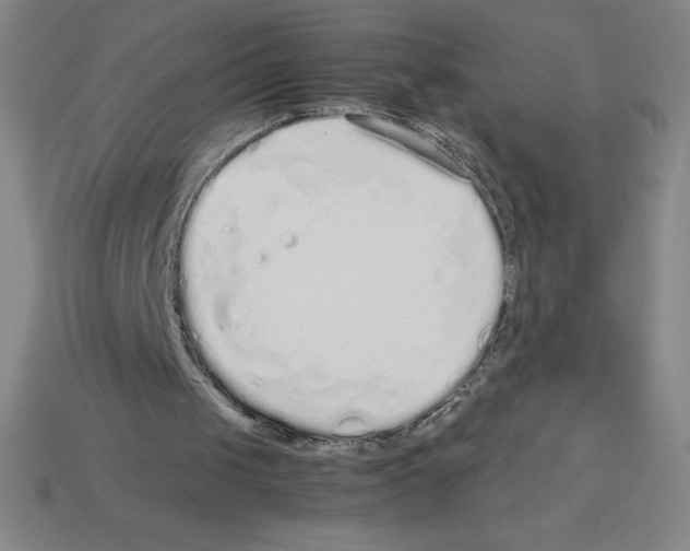 X0000112750049200910011203