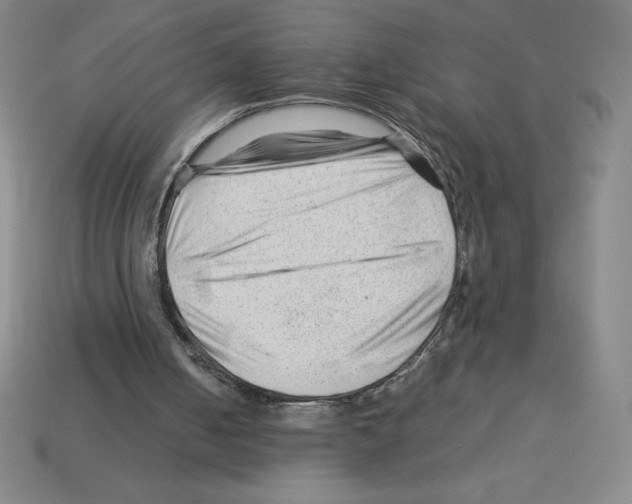 X0000112750050200910011203