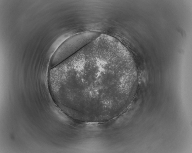 X0000112750052200910011203