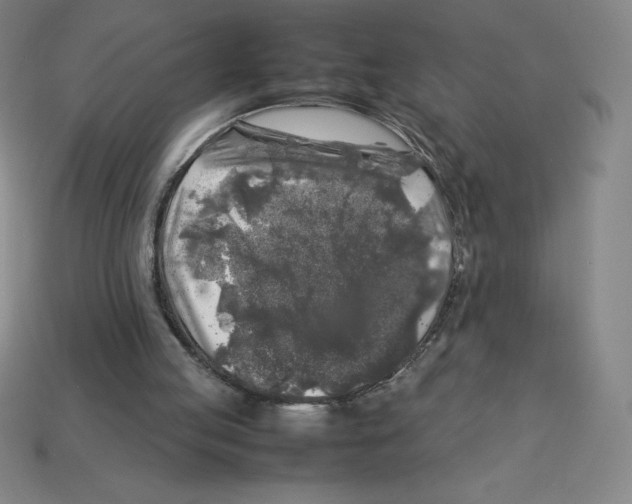 X0000112750053200910011203