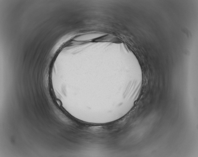 X0000112750054200910011203