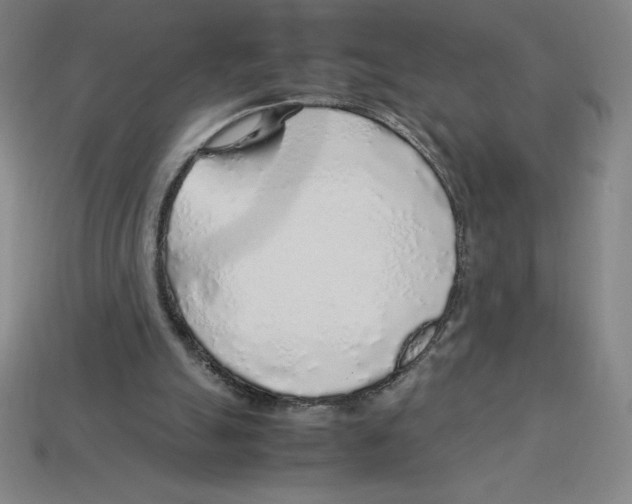 X0000112750055200910011203