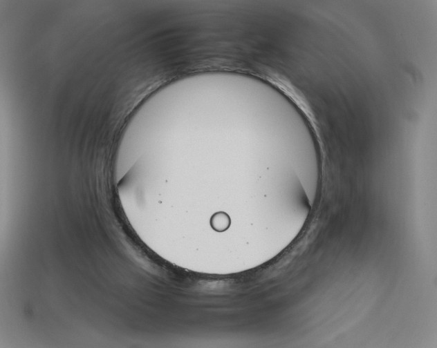 X0000112750057200910011203