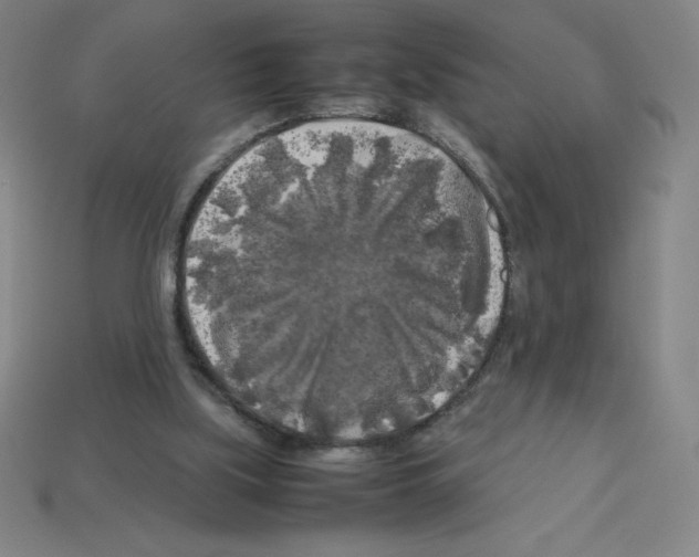 X0000112750059200910011203