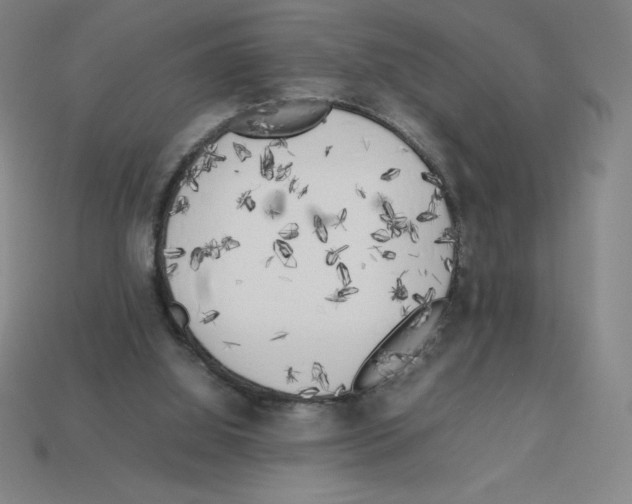 X0000112750060200910011203