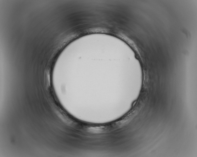 X0000112750061200910011203