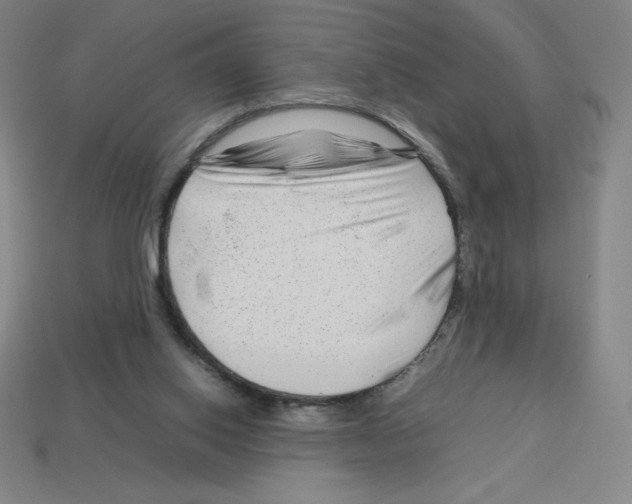 X0000112750062200910011203